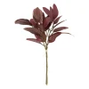 Xenos Kunsttak met bladeren - rood - 37 cm- Kunstbloemen