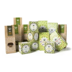 Xenos Losse groene thee - Fruity Paradise - 75 gram- Thee