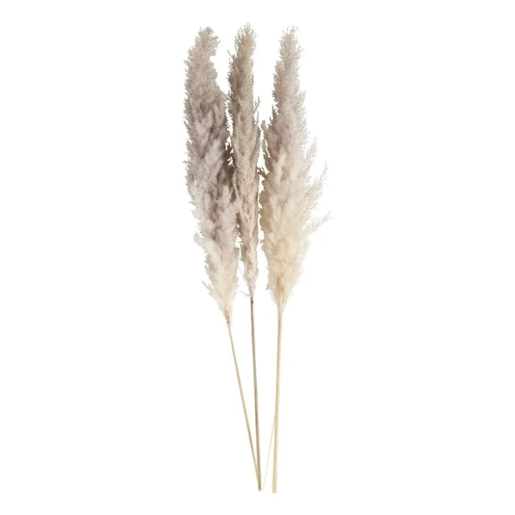 Xenos Pampasgras - 100 cm - set van 3- Kunstbloemen