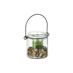 Xenos Plantje in glas - ø6x6.7 cm- Kunstplanten