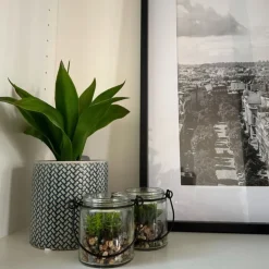 Xenos Plantje in glas - ø6x6.7 cm- Kunstplanten