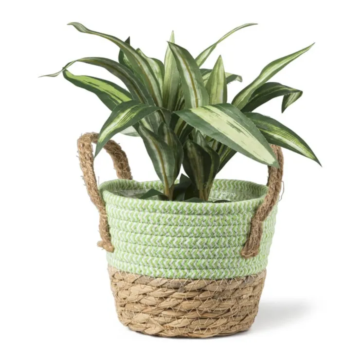 Xenos Rieten mand met hengsel - groen - ø15x16.5 cm- Kerstcadeaus|Manden