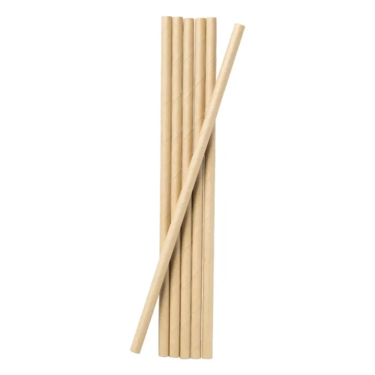 Xenos Rietjes kraftpapier - 100 stuks- Rietjes