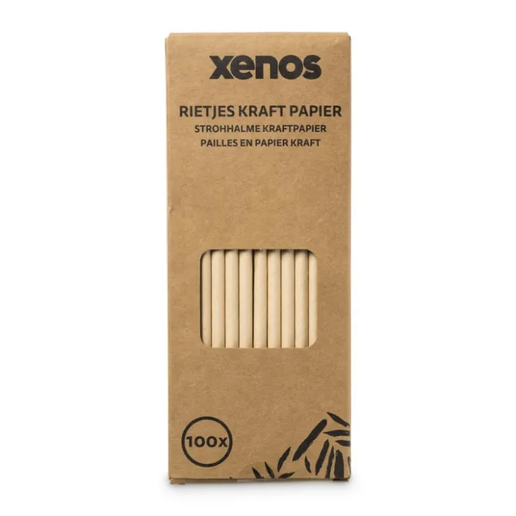 Xenos Rietjes kraftpapier - 100 stuks- Rietjes