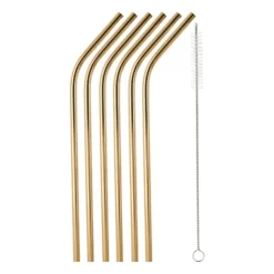 Xenos Rietjes RVS - goud - set van 6- Rietjes