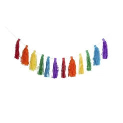 Xenos Slinger tassel regenboog - 3 meter- Slingers|Kinderfeestjes