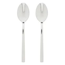 Xenos Theelepels - zilverkleurig - set van 2- Lepels