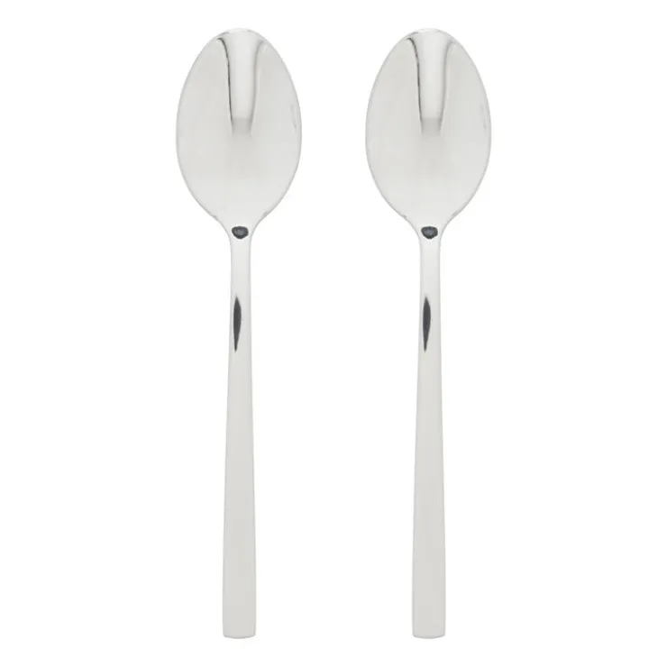 Xenos Theelepels - zilverkleurig - set van 2- Lepels