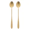 Xenos Theelepels lang - goudkleurig - set van 2- Lepels
