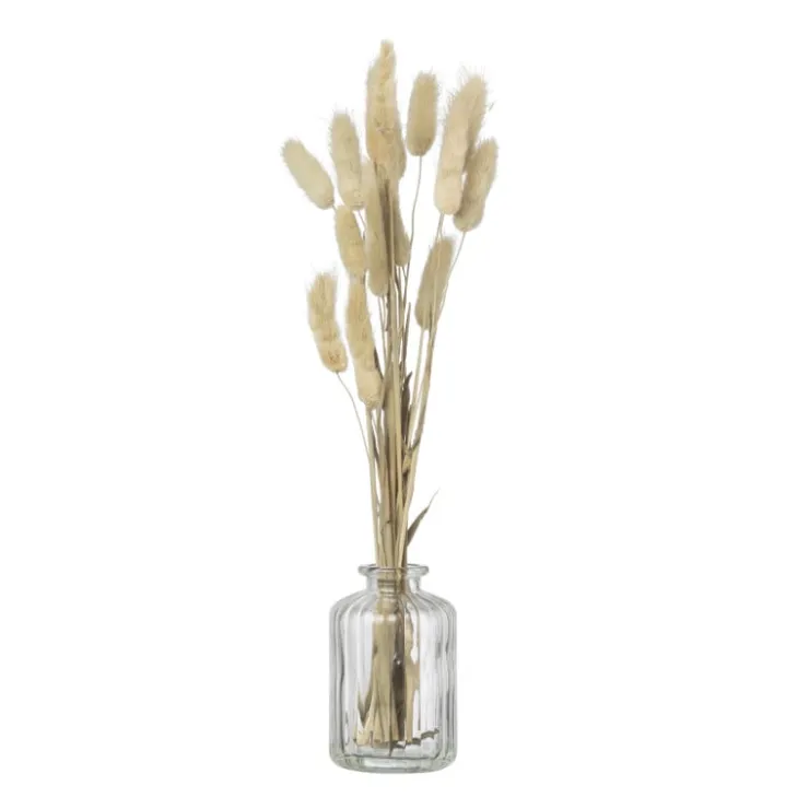Xenos Vaasje mini - transparant - ø6.5x10 cm - diverse varianten- Vazen|Vazen