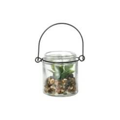 Xenos Vetplantje in glas - ø6x6.7 cm- Kunstplanten