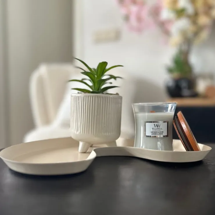 Xenos Vetplantje in pot - beige - ø8x15 cm- Kunstplanten