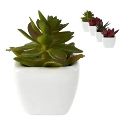 Xenos Vetplantjes - klein in pot - diverse varianten- Kunstplanten