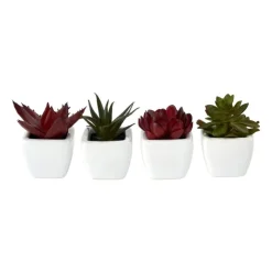 Xenos Vetplantjes - klein in pot - diverse varianten- Kunstplanten