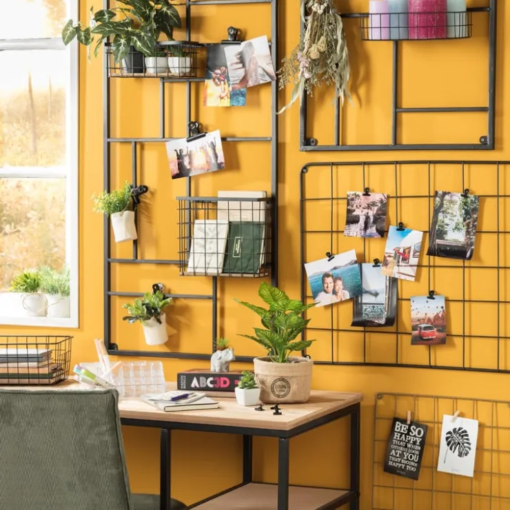 Xenos Vetplantjes - klein in pot - diverse varianten- Kunstplanten