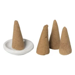 Xenos Wierook set - vanille - kegels met schaaltje- Wierook